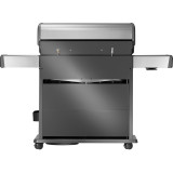 Napoleon Rogue PRO-S 625 RSIB Barbecue Gas Inox | Segantini