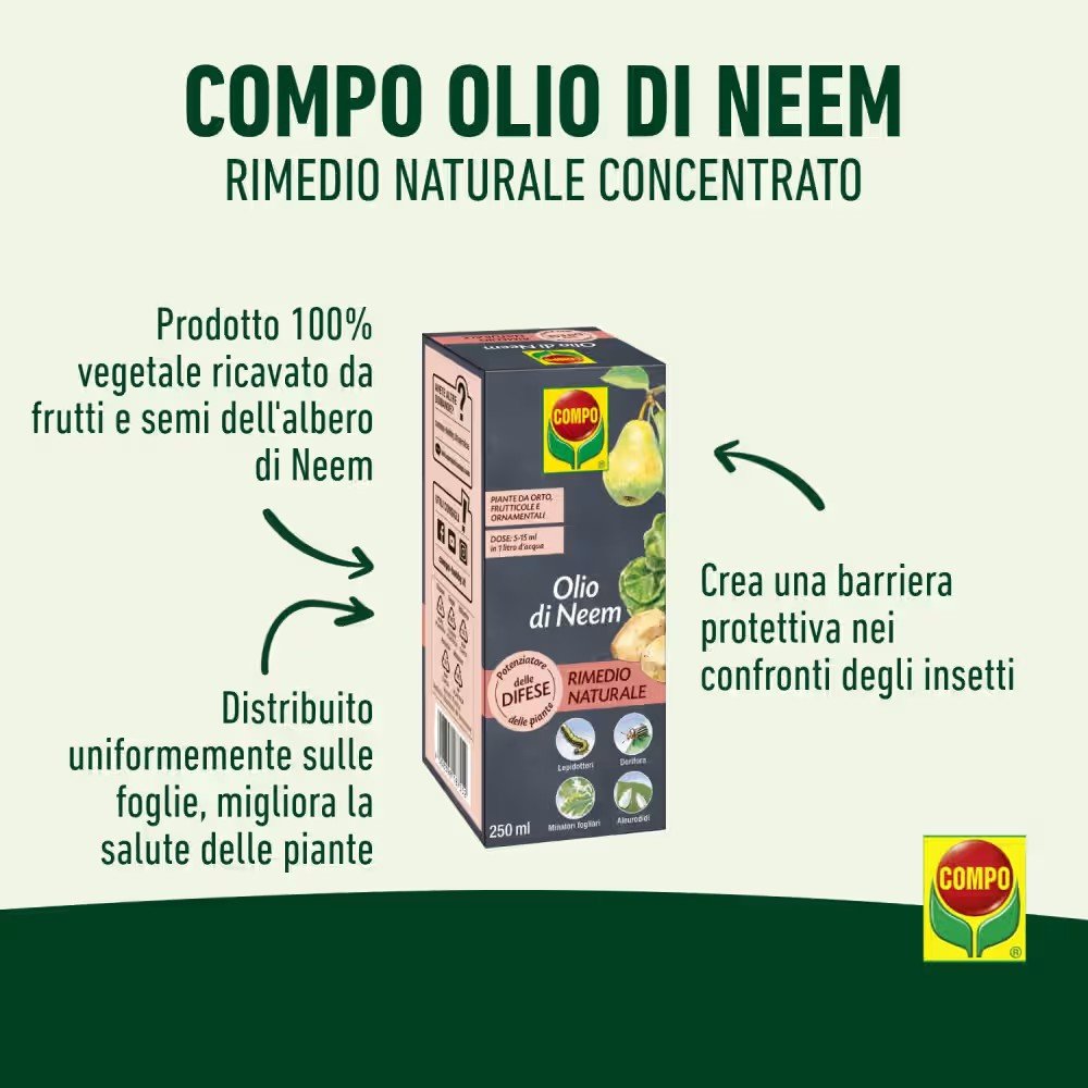 COMPO Olio di Neem Concentrato 250ml | Segantini Garden Center
