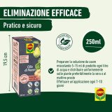 COMPO Olio di Neem Concentrato 250ml | Segantini Garden Center