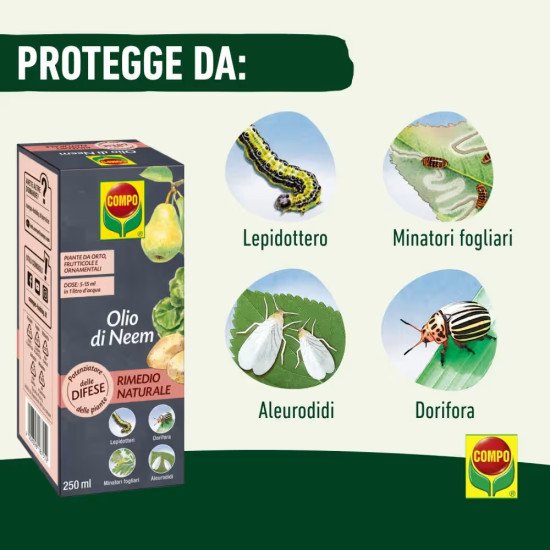 COMPO Olio di Neem Concentrato 250ml | Segantini Garden Center