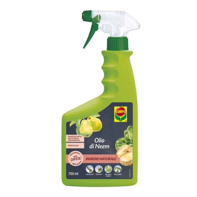 COMPO Olio di Neem Pronto Uso Spray 750ml | Segantini Garden
