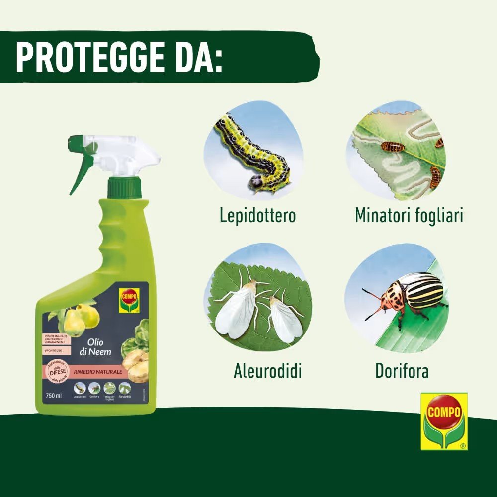 COMPO Olio di Neem Pronto Uso Spray 750ml | Segantini Garden