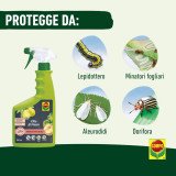 COMPO Olio di Neem Pronto Uso Spray 750ml | Segantini Garden