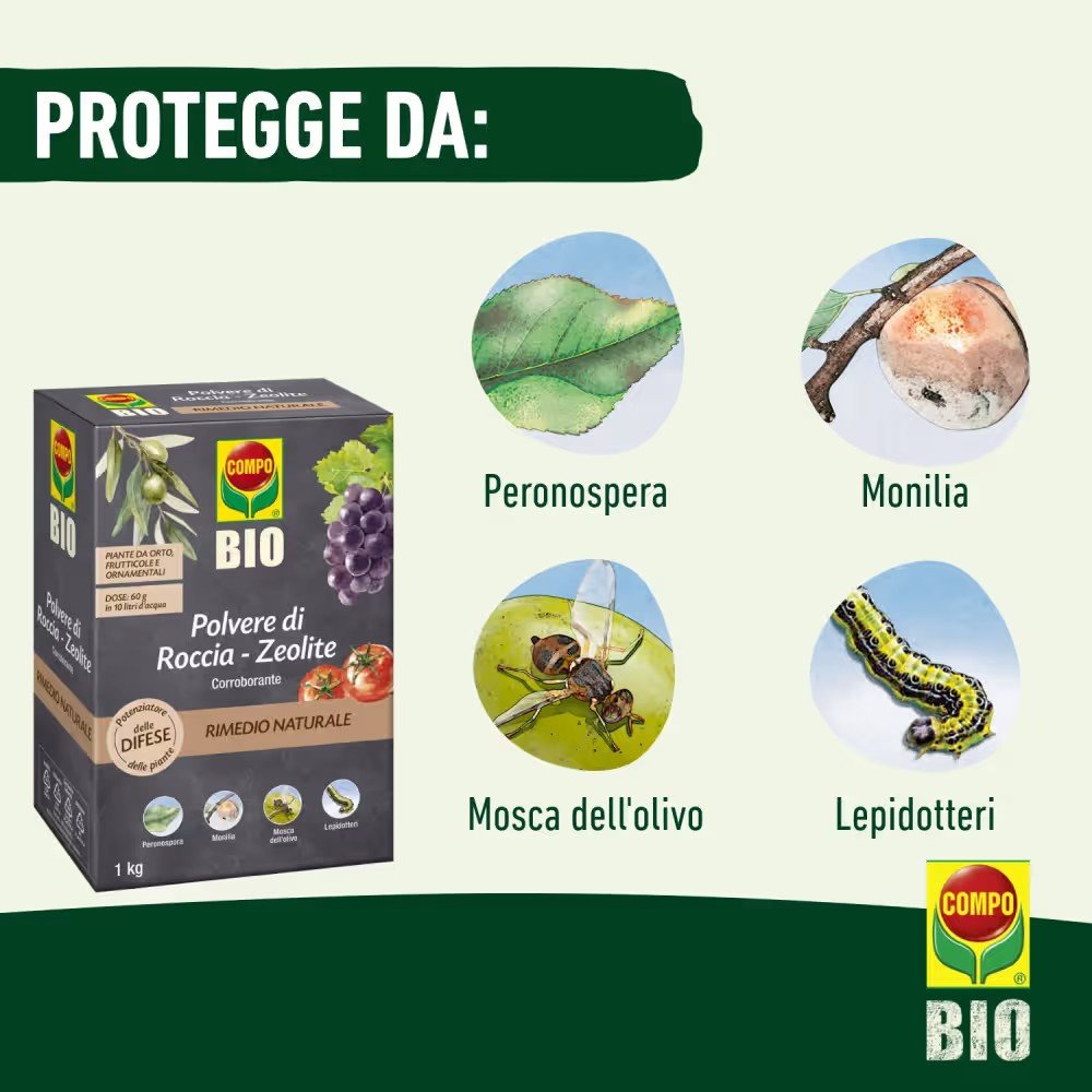 Compo bio zeolite, polvere di roccia