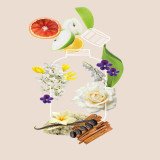 Profumatore Bucato Diamante Rosa Il Bucato di Adele | Segantini