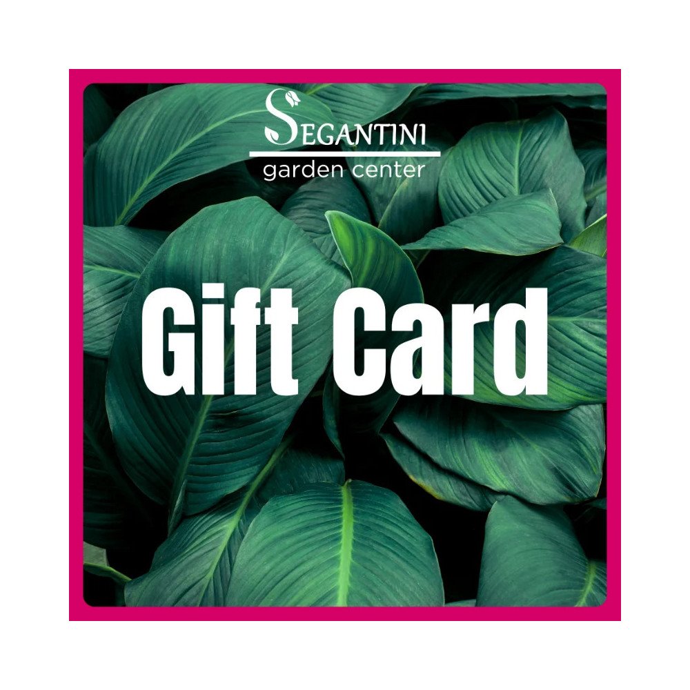 Buono Regalo Garden Center 50€ | Segantini Arezzo e Terni