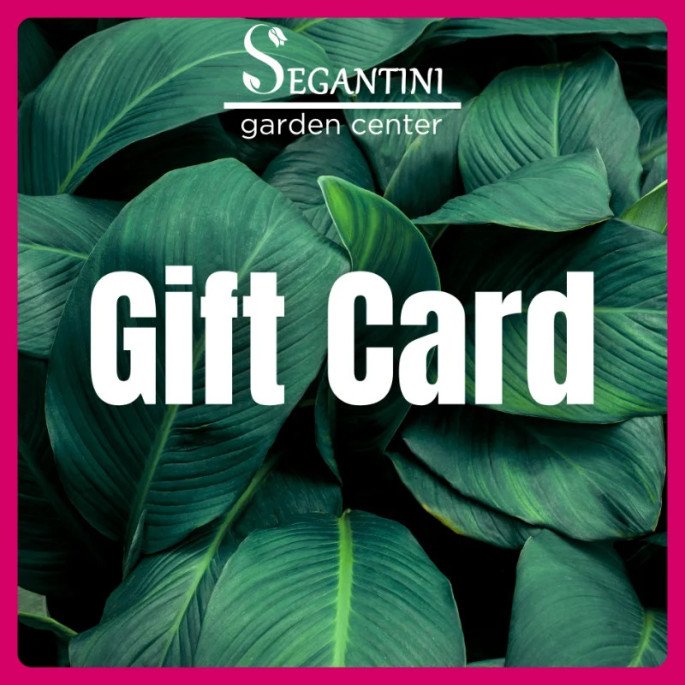 Buono Regalo Garden Center 50€ | Segantini Arezzo e Terni